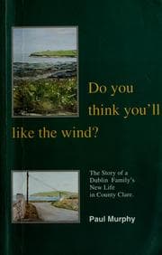 Tapa de Do you think you'll like the wind?