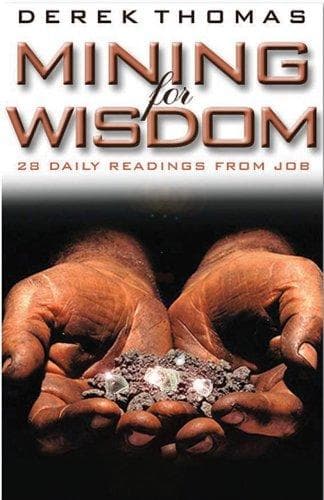 Tapa de Mining for Wisdom