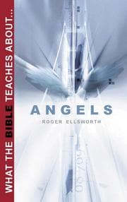 Tapa de What the Bible Teaches about Angels (What the Bible Teaches about)
