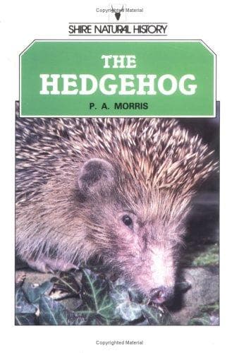 Tapa de The hedgehog