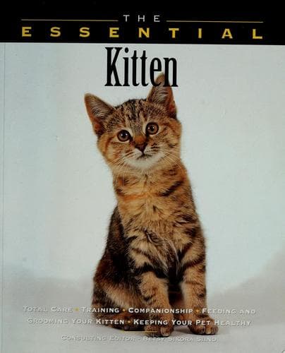 Tapa de The essential kitten