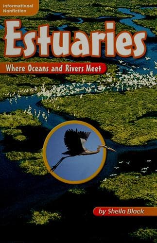 Tapa de Estuaries