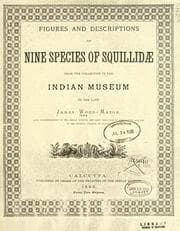 Tapa de Figures and descriptions of nine species of Squillidae