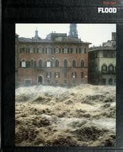 Tapa de Flood