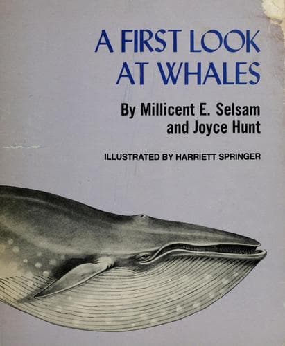 Tapa de A first look at whales