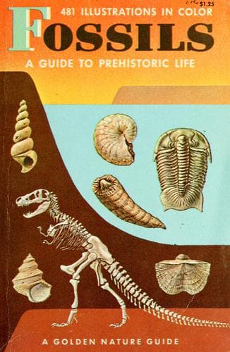 Tapa de Fossils