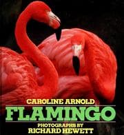Tapa de Flamingo