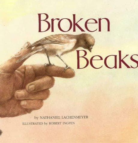 Tapa de Broken Beaks