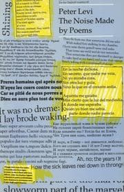 Tapa de The noise made by poems