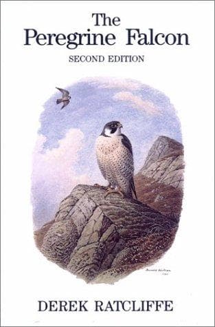 Tapa de The peregrine falcon