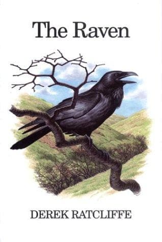 Tapa de The raven