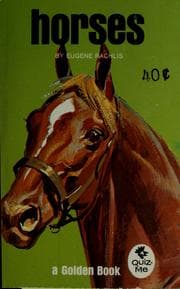 Tapa de Horses