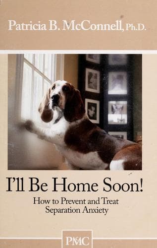 Tapa de I'll be home soon!