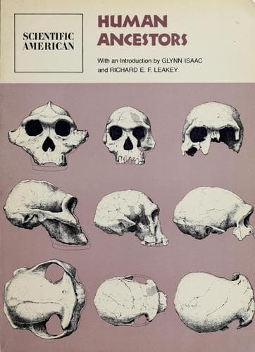 Tapa de Human ancestors