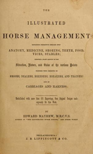 Tapa de illustrated horse management