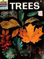 Tapa de The how and why wonder book of trees