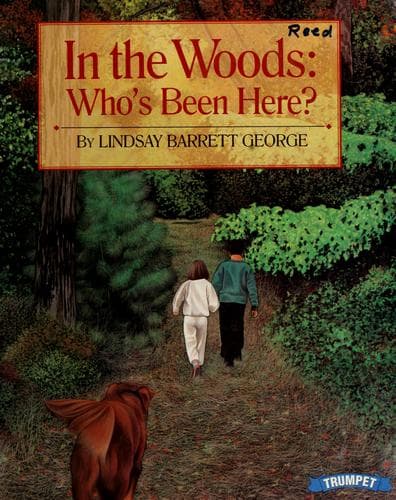 Tapa de In the woods