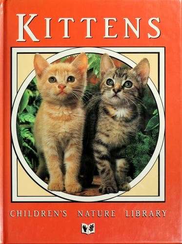Tapa de Kittens