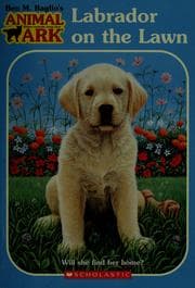 Tapa de Labrador on the lawn