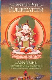 Tapa de The tantric path of purification
