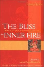 Tapa de The Bliss of Inner Fire