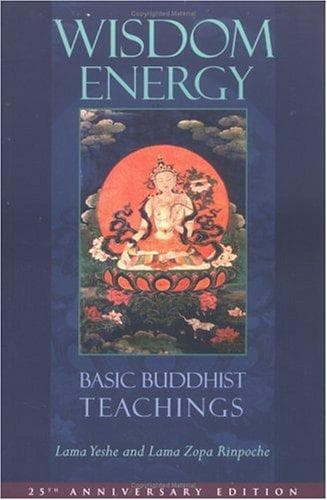 Tapa de Wisdom energy