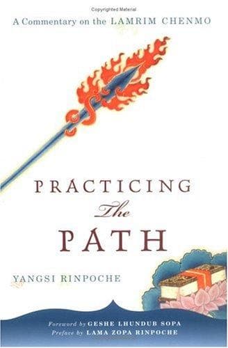 Tapa de Practicing the path