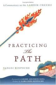 Tapa de Practicing the path
