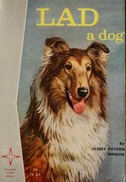 Tapa de Lad, a dog