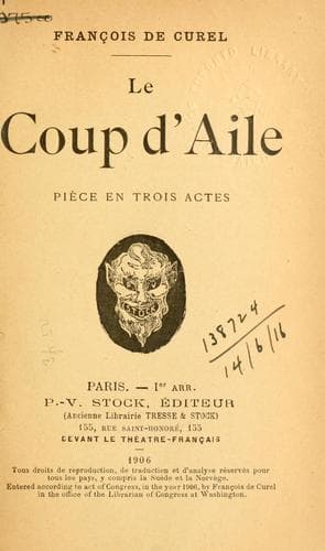 Tapa de coup d'aile