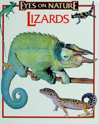 Tapa de Lizards