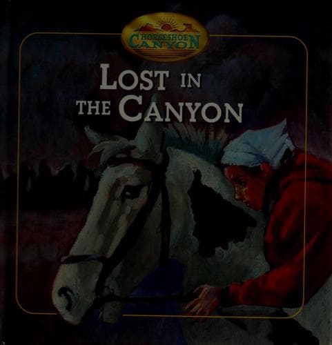 Tapa de Lost in the canyon