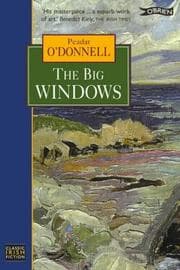 Tapa de The big windows
