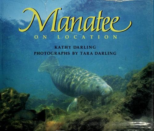 Tapa de Manatee on location