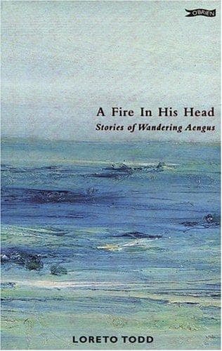 Tapa de A Fire in His Head