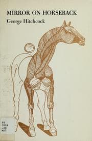 Tapa de Mirror on horseback