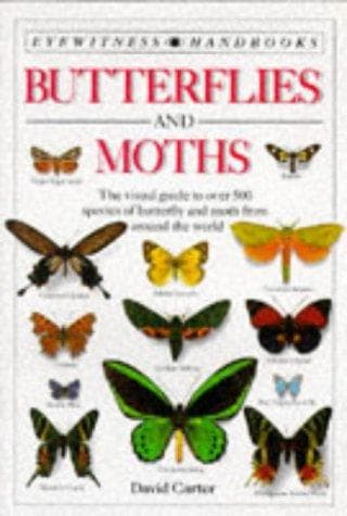 Tapa de Butterflies and Moths