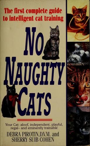 Tapa de No naughty cats