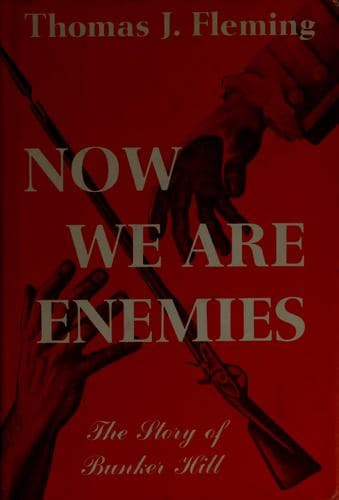 Tapa de Now we are enemies