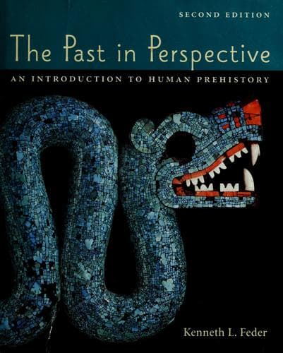Tapa de The past in perspective