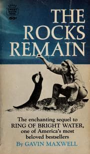 Tapa de The rocks remain