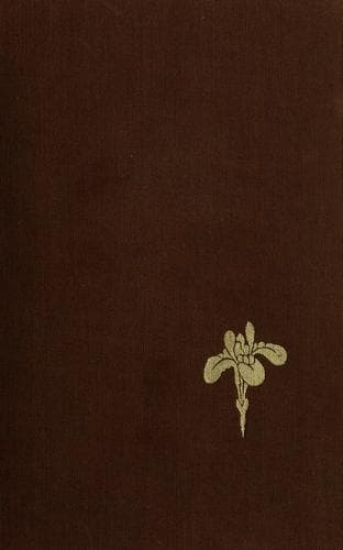 Tapa de Silversword