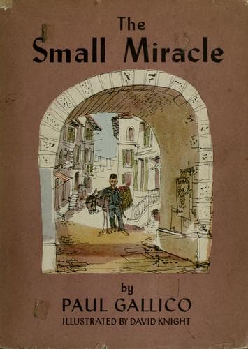 Tapa de The small miracle