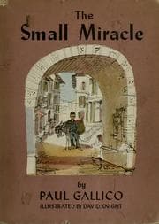 Tapa de The small miracle