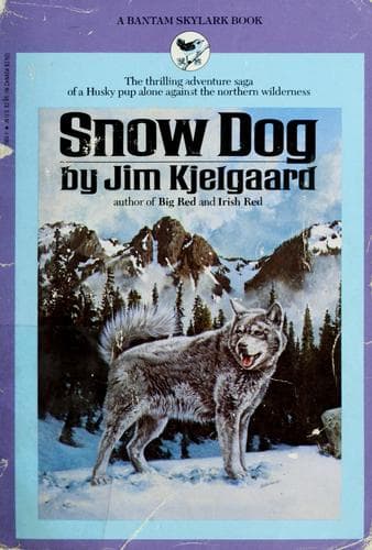 Tapa de Snow dog