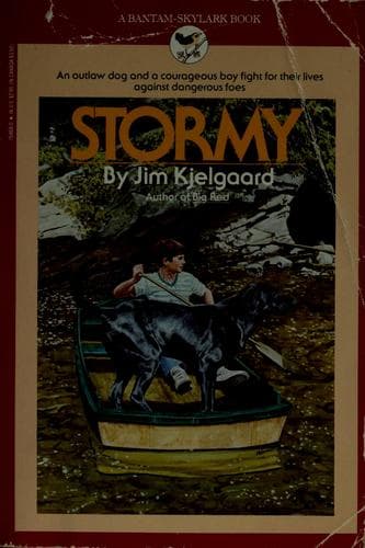 Tapa de Stormy