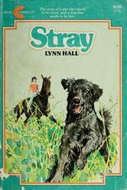 Tapa de Stray