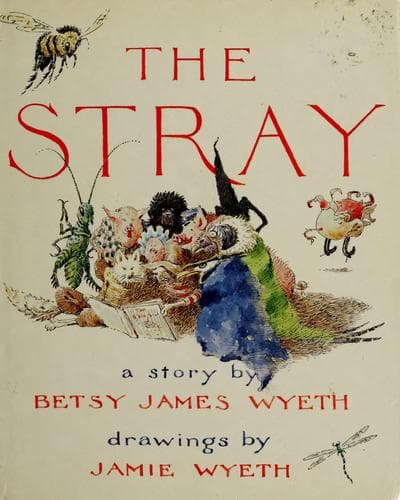 Tapa de The stray