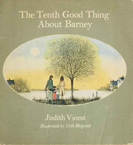 Tapa de The tenth good thing about Barney