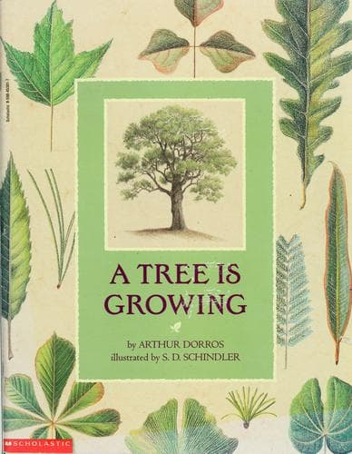 Tapa de A tree is growing